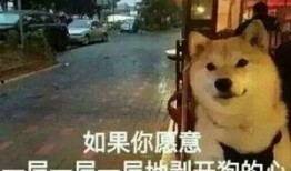 大爆料真实故事视频,真实故事背后的惊人真相