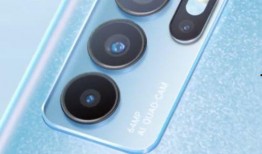 仙鱼最新爆料视频下载免费,最新爆料视频免费下载，带你一探究竟！